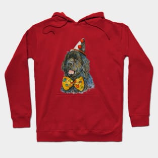 Newfoundland Dog Clown Bow Tie and Hat Hoodie